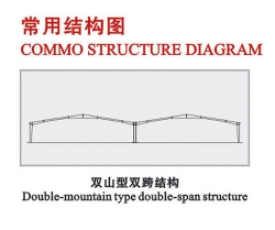 雙山型雙跨結構